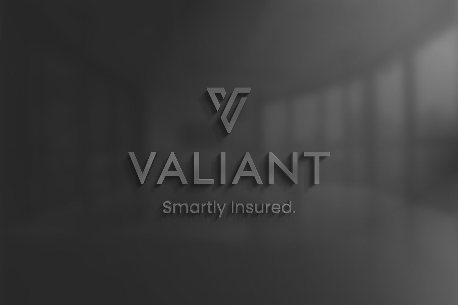 Inicio VALIANT