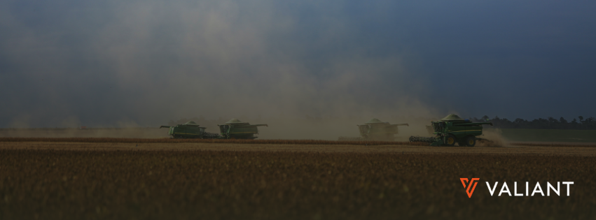 The agricultural crisis in Brazil: The Systemic Impact on Banking and Risk Management