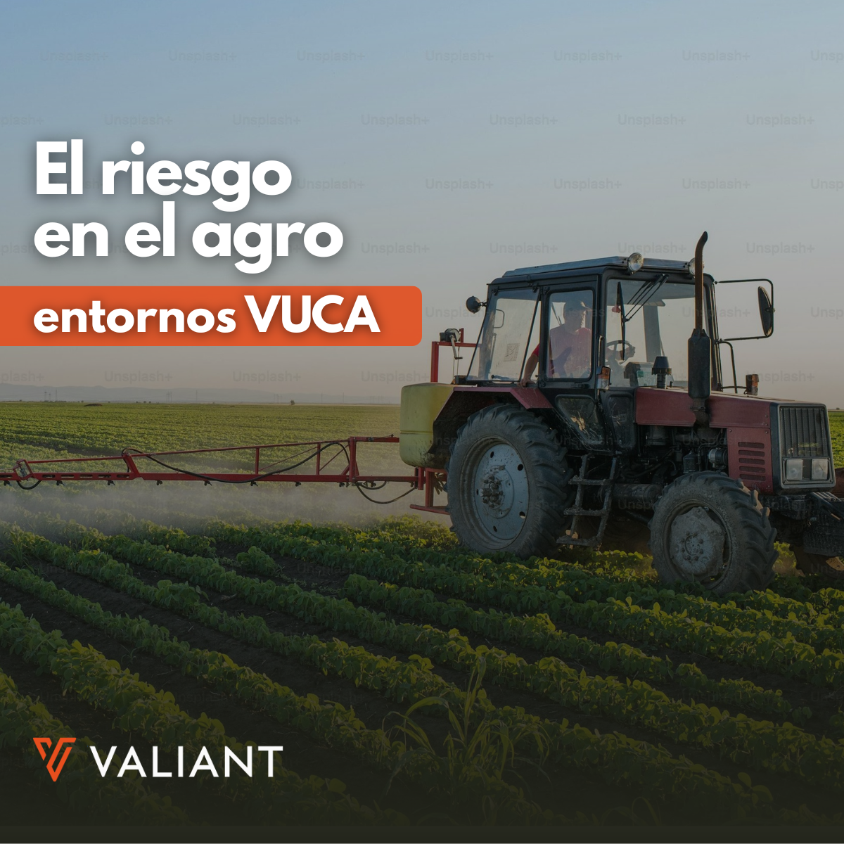 Cómo medimos el riesgo en entornos volátiles