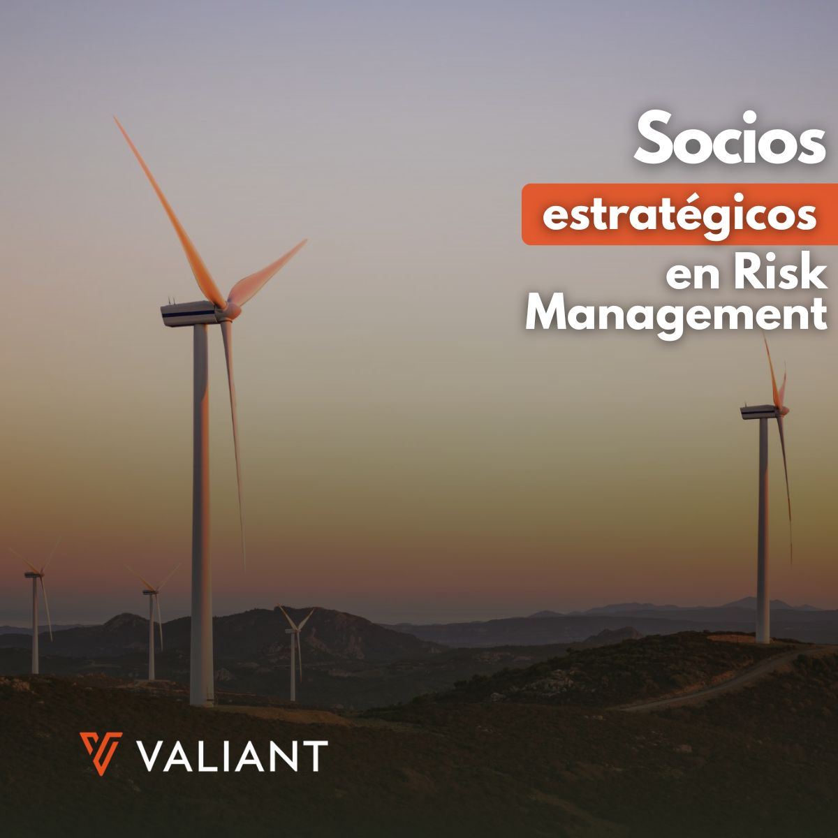 El socio estratégico que transforma la gestión de riesgos en Energía.