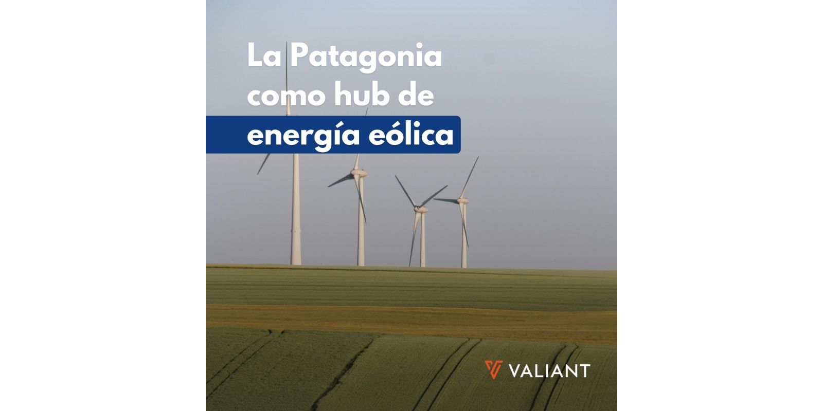 Patagonia: Wind Energy Hub that Transforms Argentina