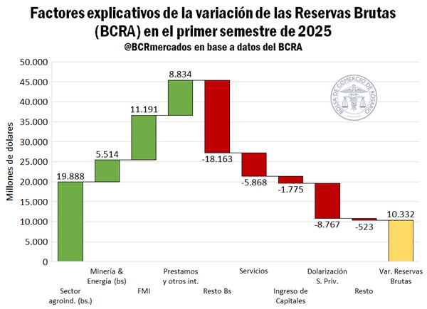 Sectores Estratégicos: Cómo Impulsan el Crecimiento de las Reservas del BCRA
